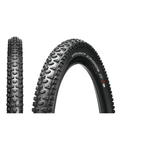 Nunc congue dui nec...